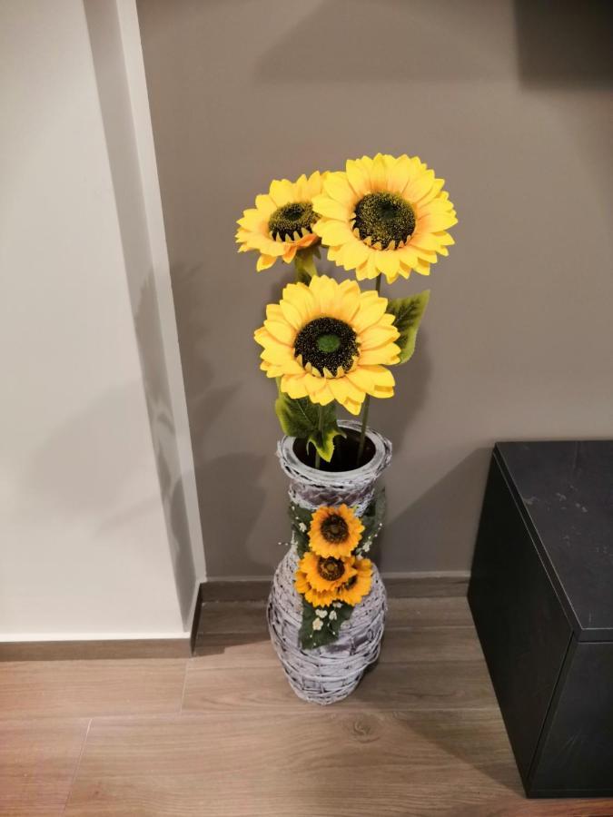 La Casa Dei Girasoli 마르살라 외부 사진